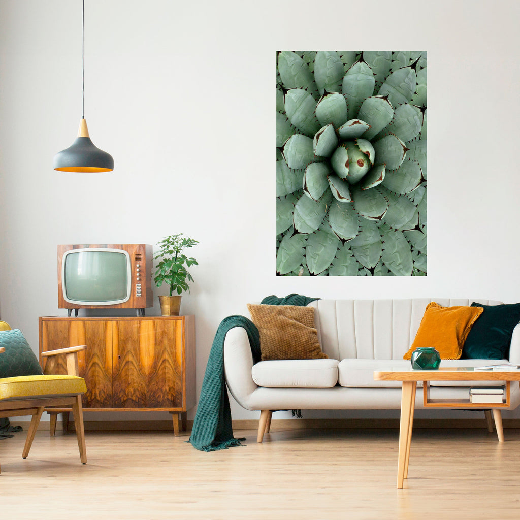 SUCCULENT SYMMETRY Αφίσα με κάθετη κόλλα και κολλήματα