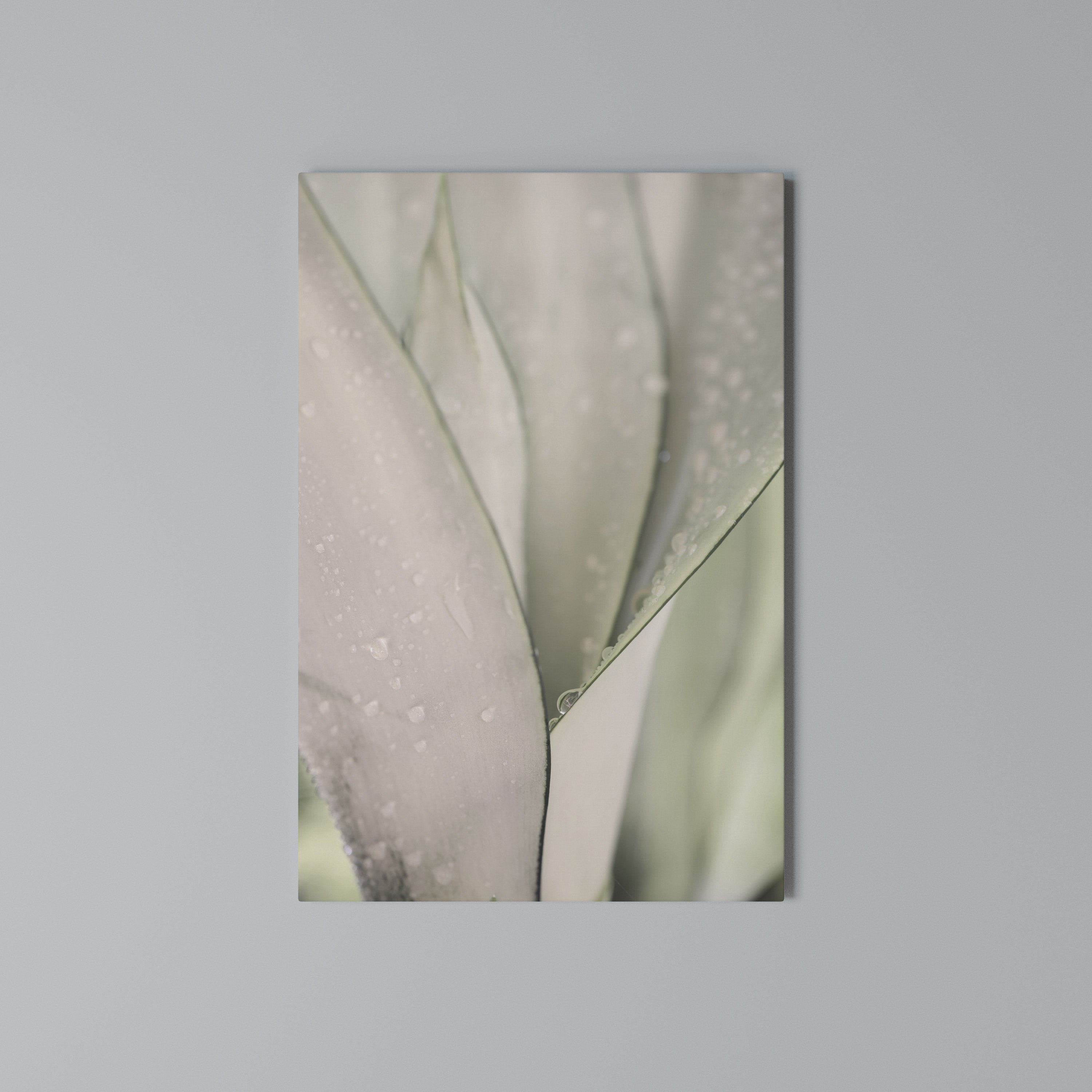 NATURE'S TAPESTRY Κατακόρυφος Πίνακας σε Καμβά