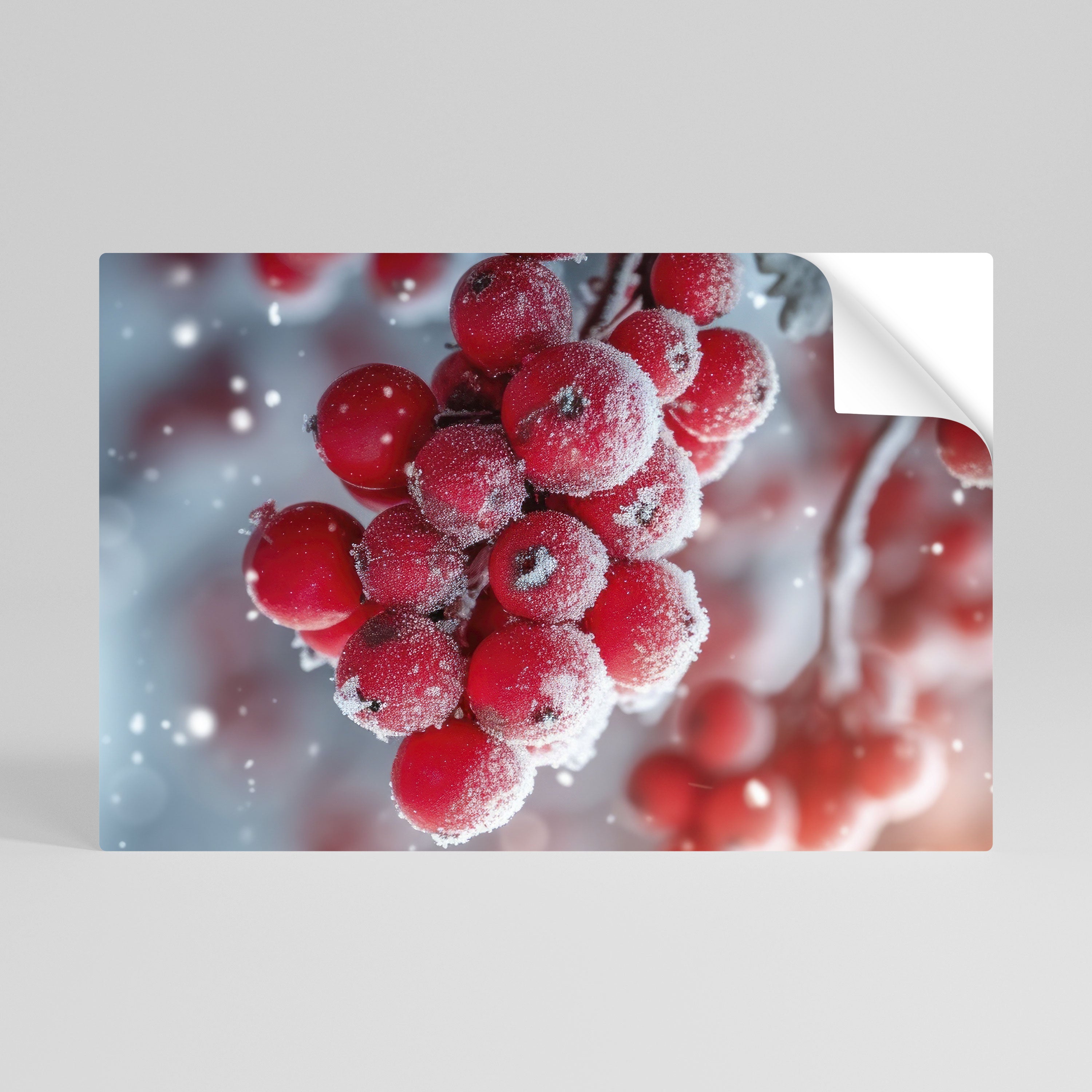 WINTER'S CRIMSON TREASURES Peel and Stick Horizontal Poster
