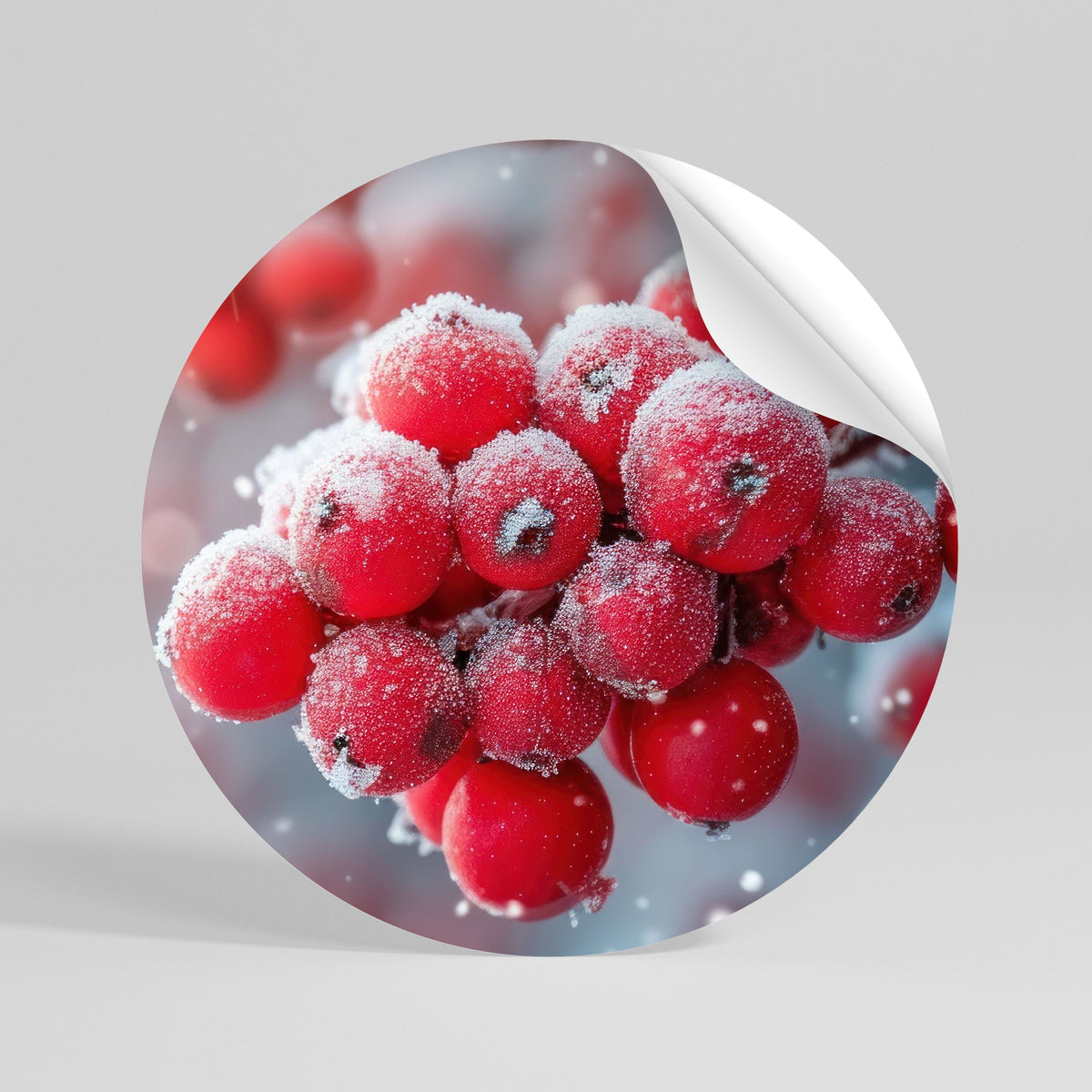 WINTER'S CRIMSON TREASURES Αυτοκόλλητη Αφίσα στρογγυλή