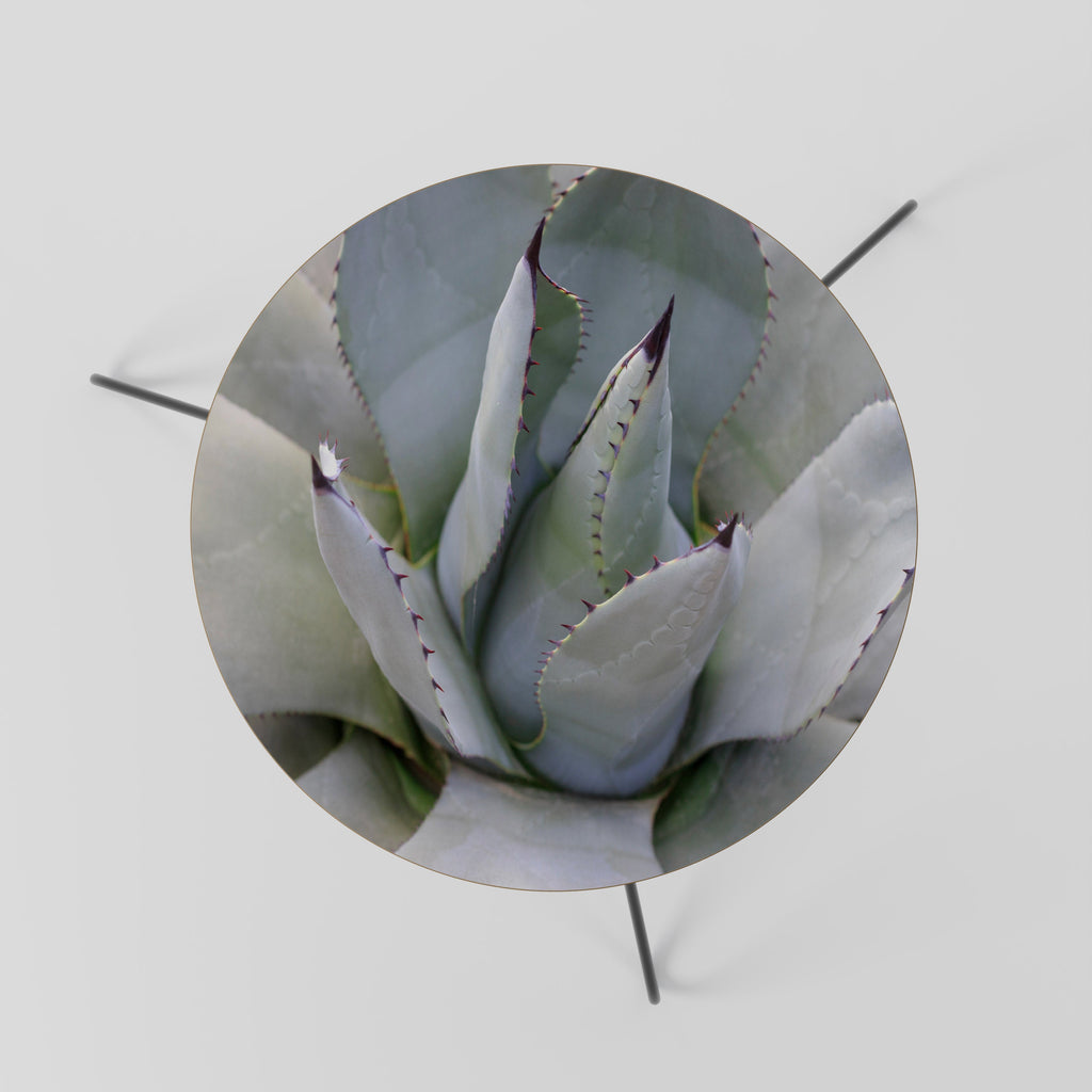Τραπεζάκι σαλονιού AGAVE ELEGANCE 60