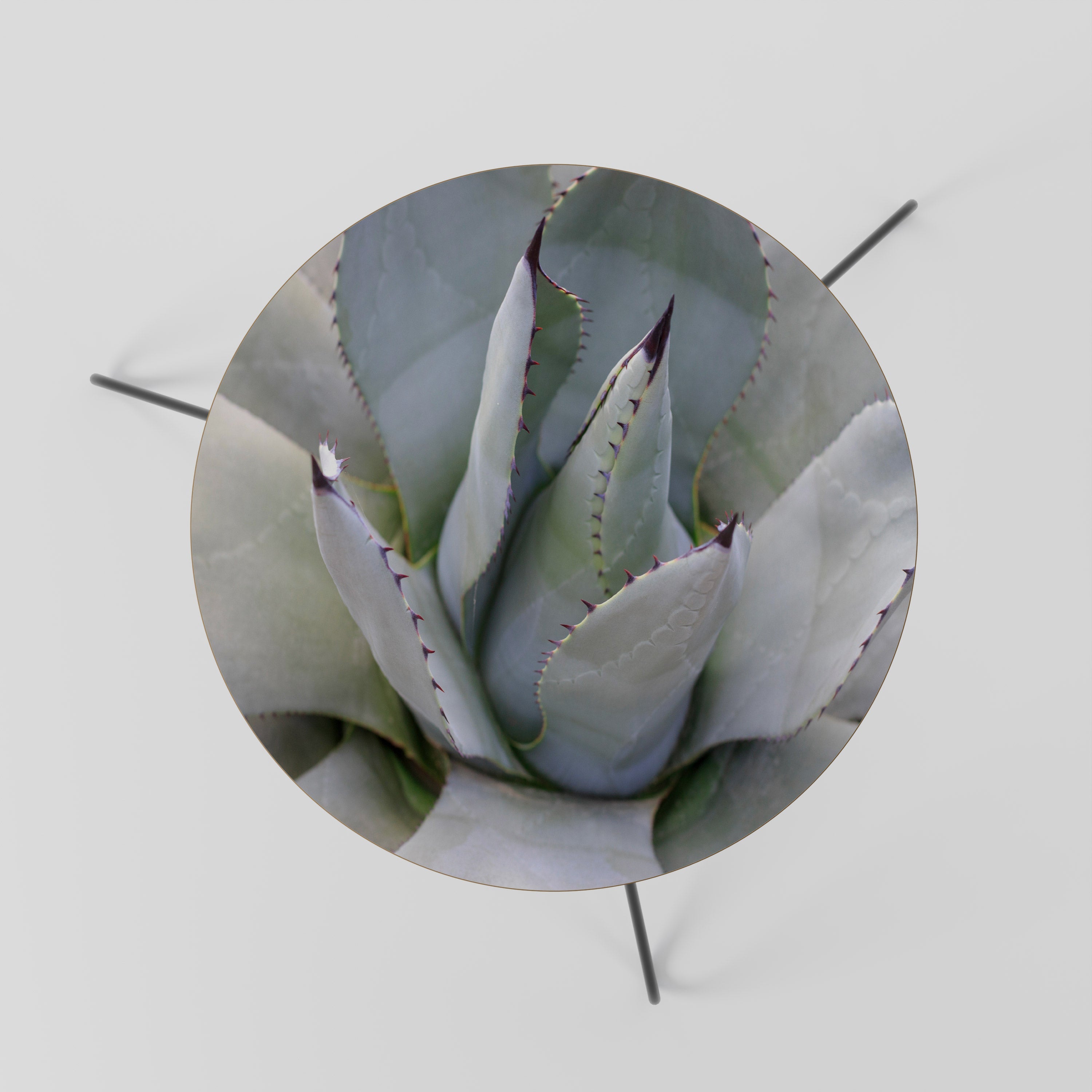 Τραπεζάκι σαλονιού AGAVE ELEGANCE 60