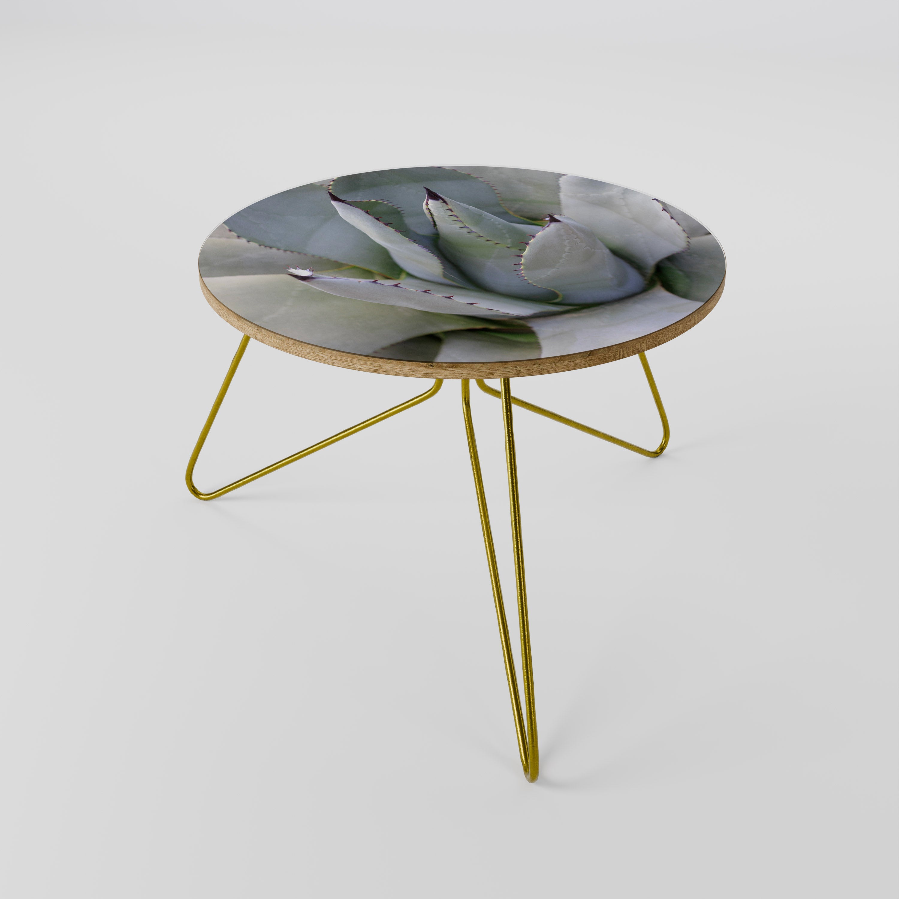 Τραπεζάκι σαλονιού AGAVE ELEGANCE 60