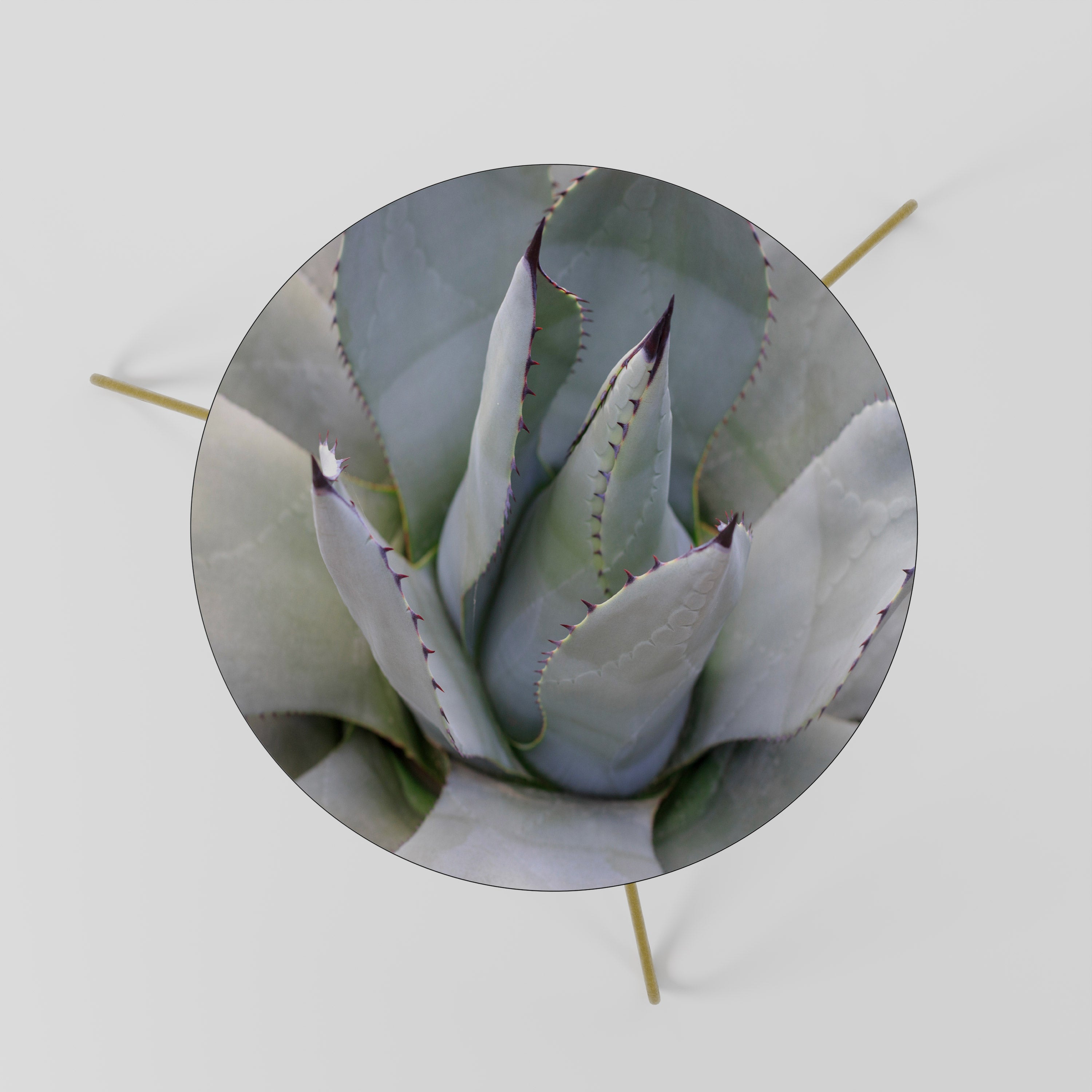 Τραπεζάκι σαλονιού AGAVE ELEGANCE 60