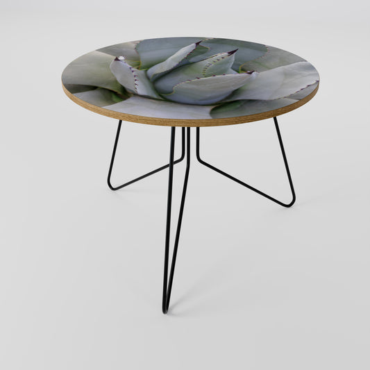 AGAVE ELEGANCE Τραπεζάκι σαλονιού