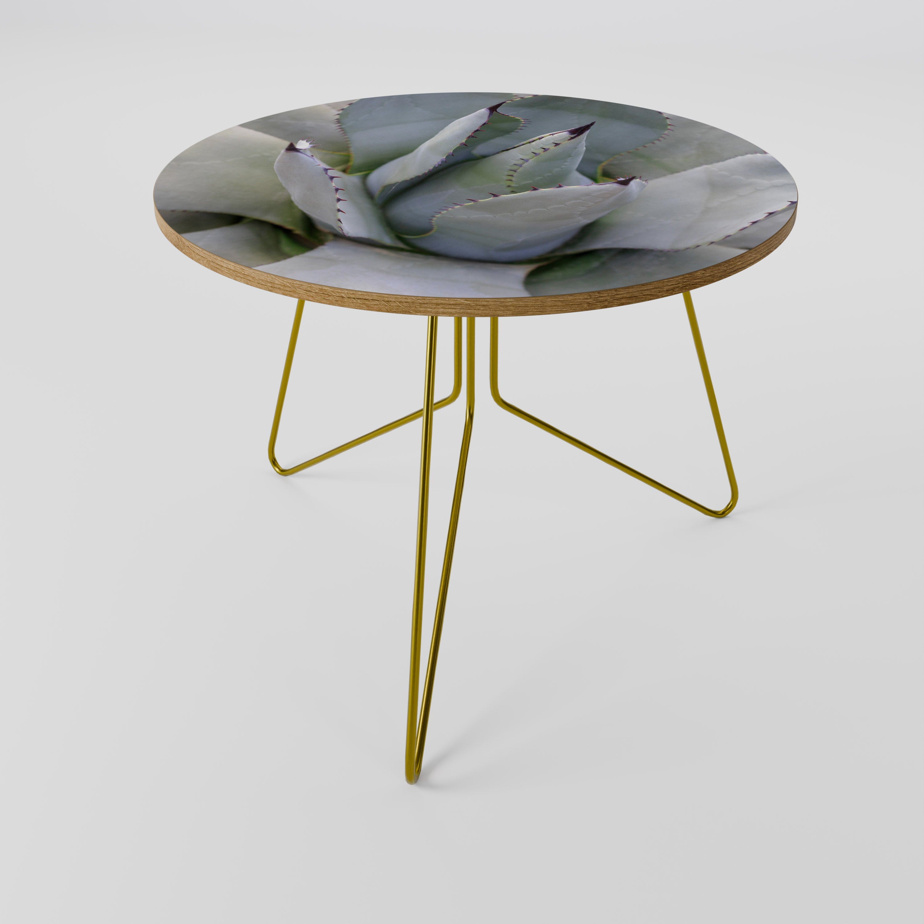 AGAVE ELEGANCE Coffee Table 69
