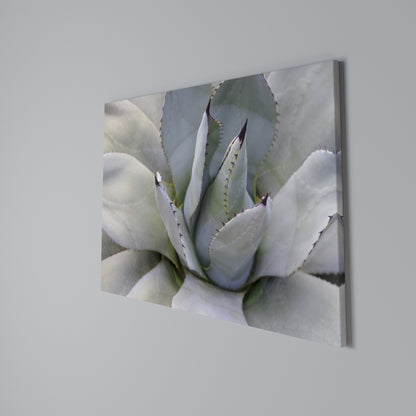 AGAVE ELEGANCE Horizontal Canvas Print