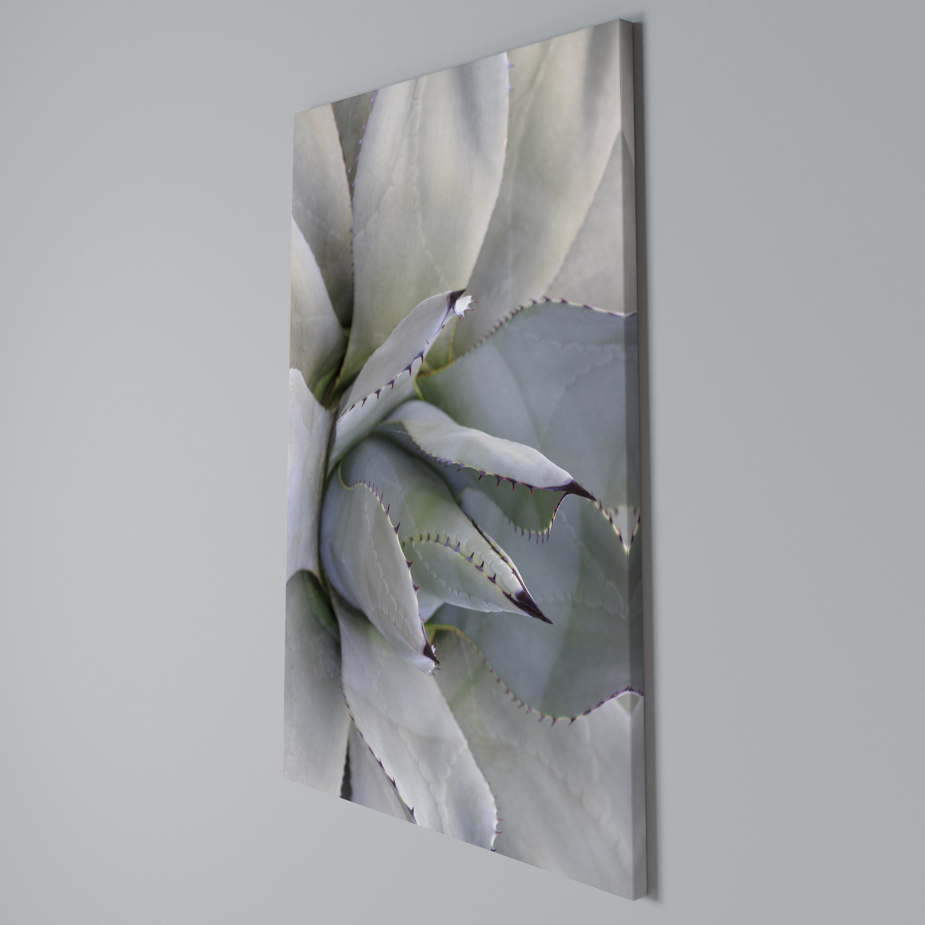 AGAVE ELEGANCE Κατακόρυφος Πίνακας σε Καμβά