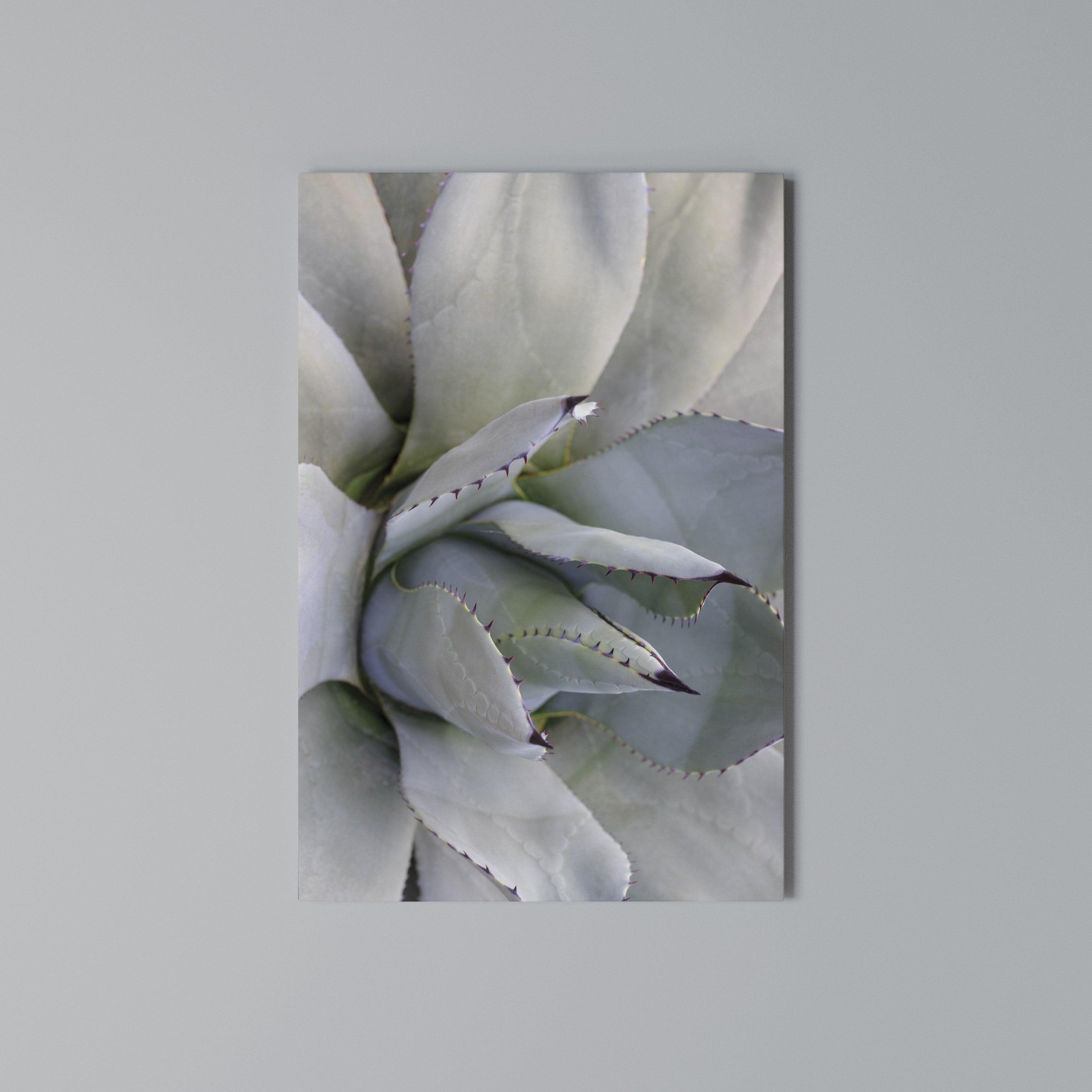 AGAVE ELEGANCE Κατακόρυφος Πίνακας σε Καμβά
