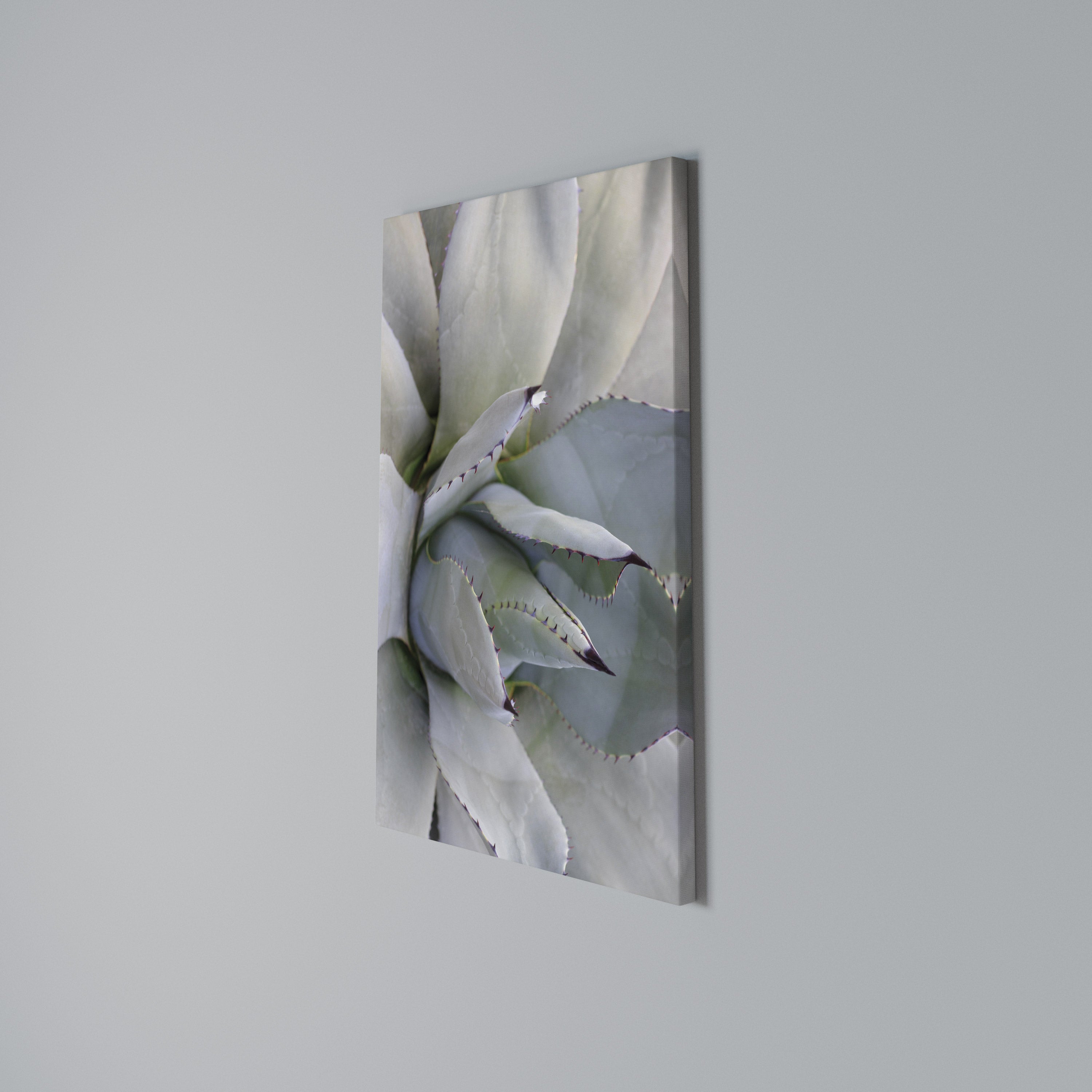 AGAVE ELEGANCE Κατακόρυφος Πίνακας σε Καμβά