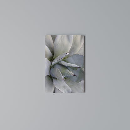 AGAVE ELEGANCE Vertical Canvas Print
