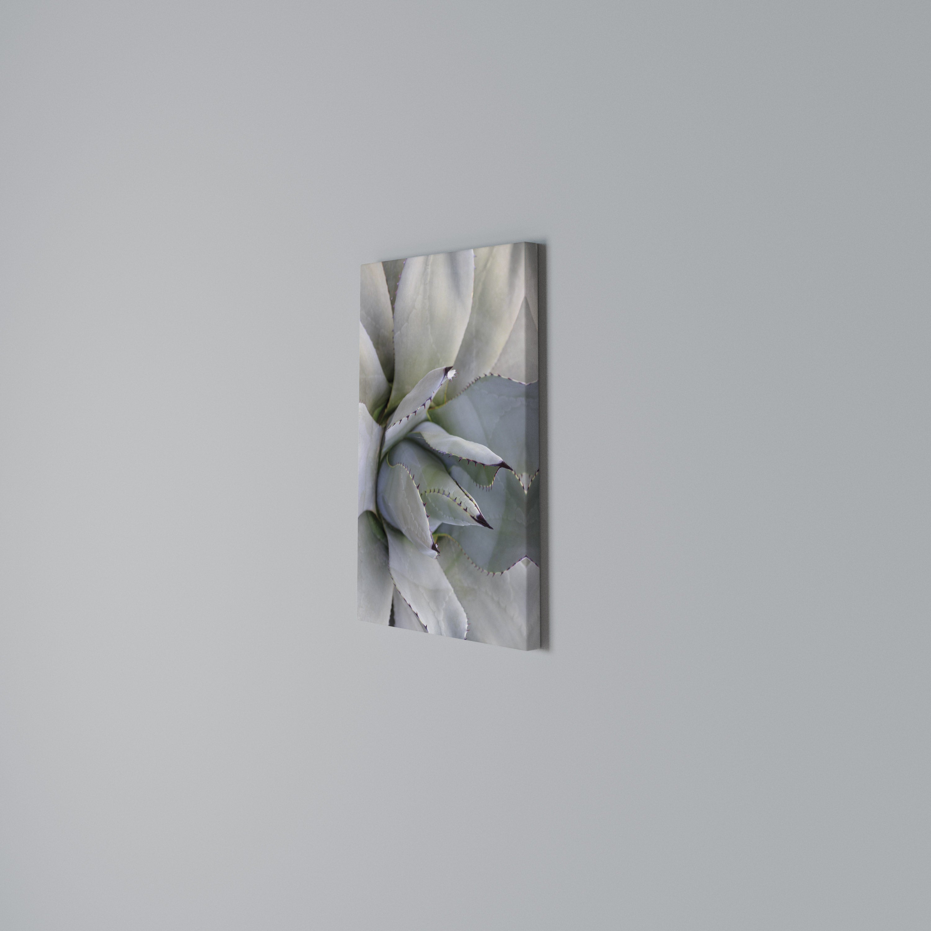 AGAVE ELEGANCE Κατακόρυφος Πίνακας σε Καμβά