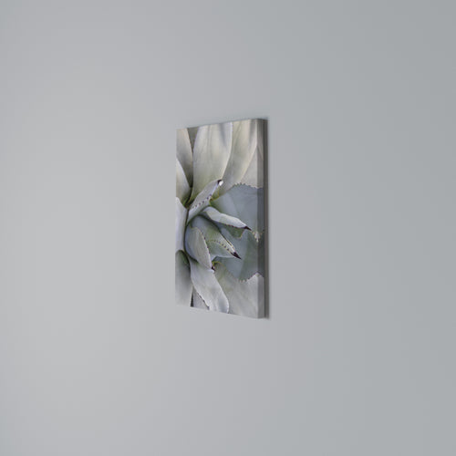 AGAVE ELEGANCE Κατακόρυφος Πίνακας σε Καμβά