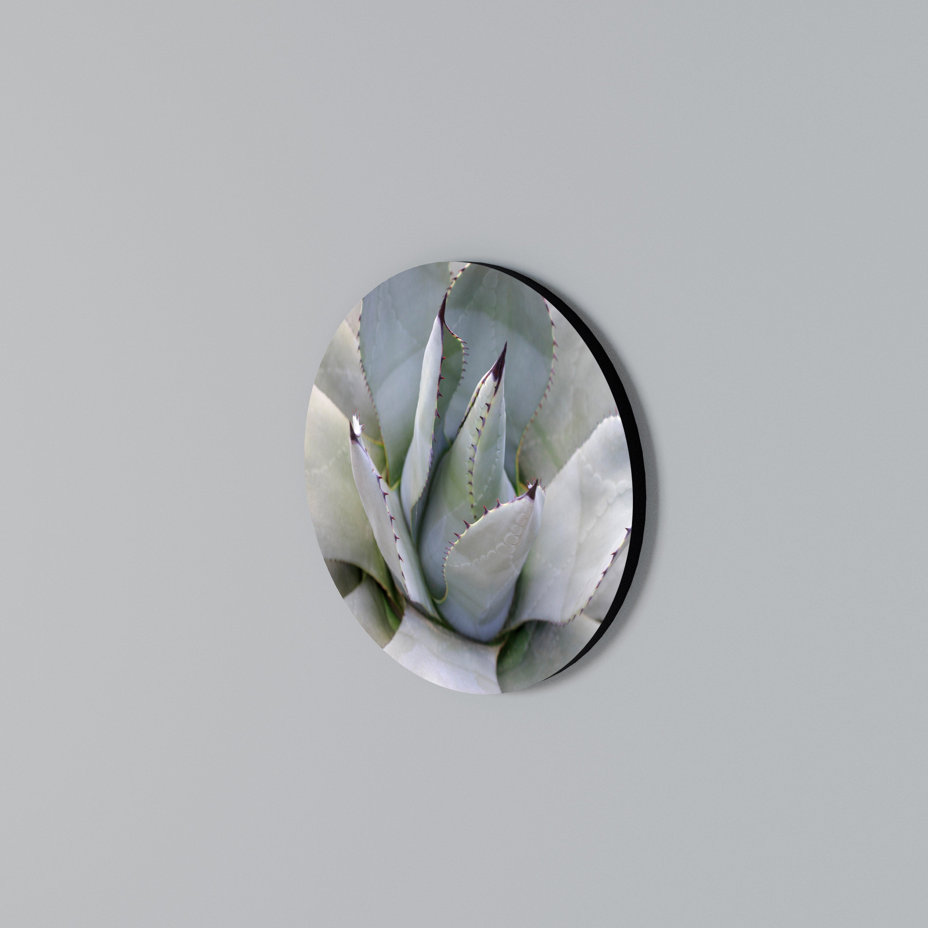 AGAVE ELEGANCE Στρογγυλός πίνακας ζωγραφικής
