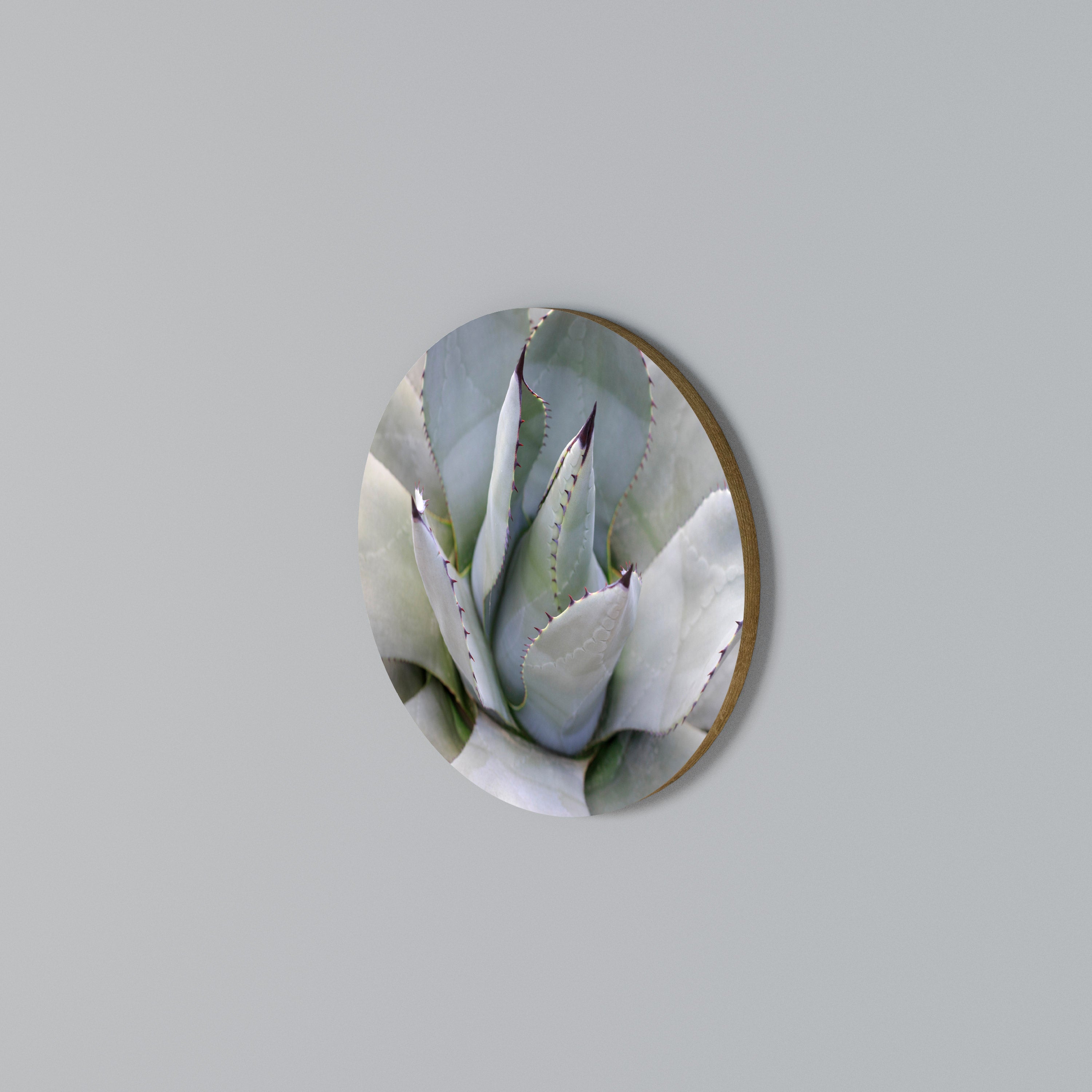 AGAVE ELEGANCE Στρογγυλός πίνακας ζωγραφικής