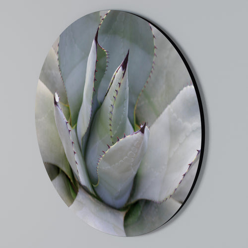 AGAVE ELEGANCE Στρογγυλός πίνακας ζωγραφικής