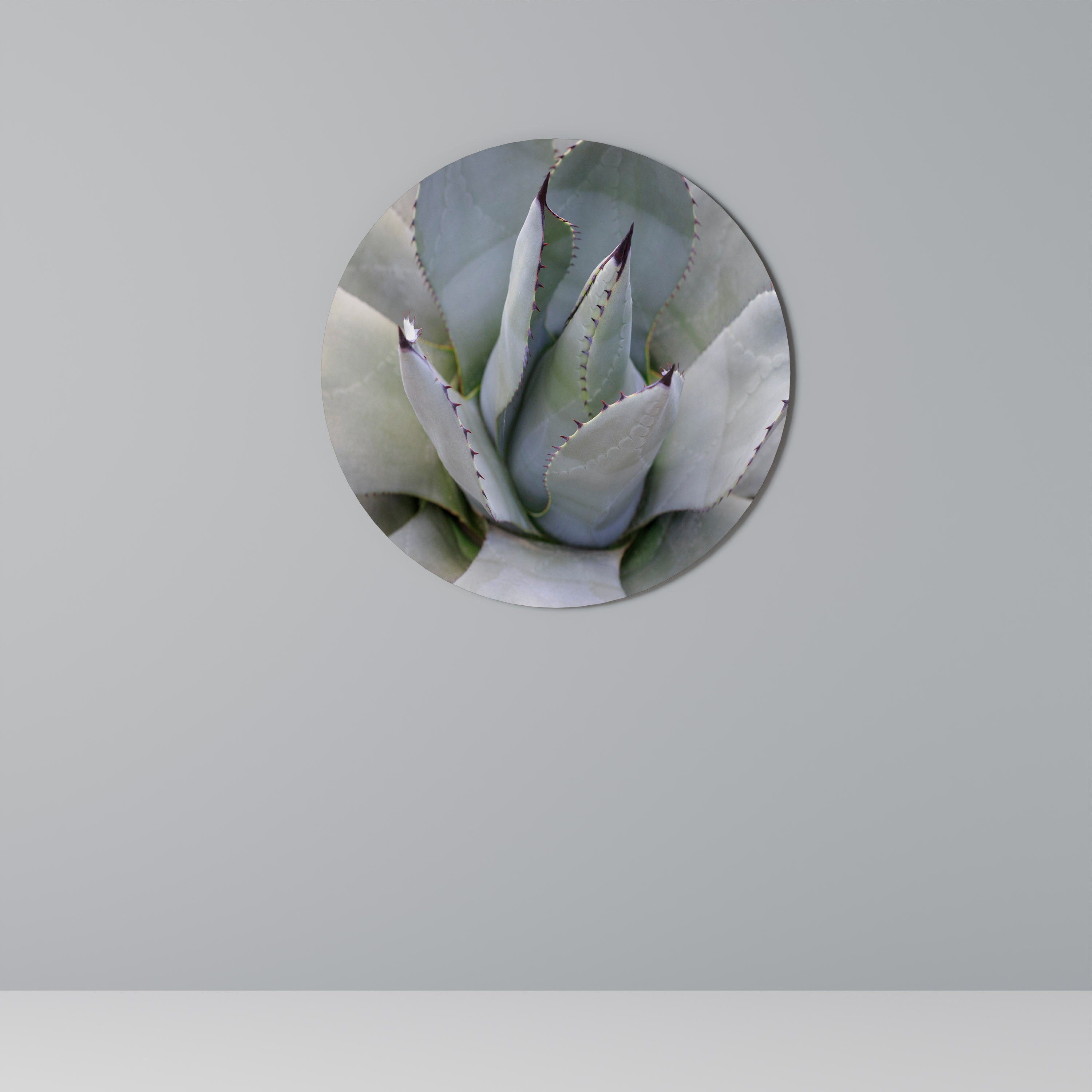 AGAVE ELEGANCE Στρογγυλή Τέχνη Τοίχου