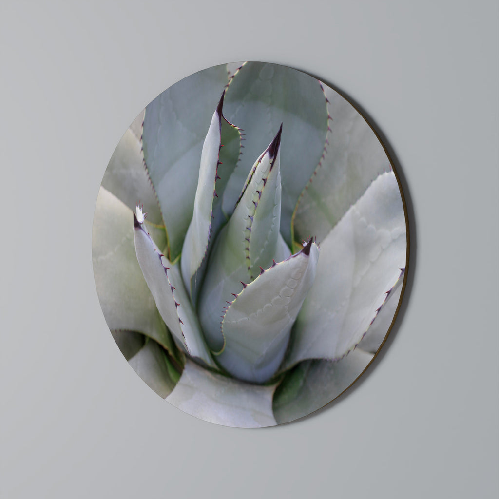 AGAVE ELEGANCE Στρογγυλή Τέχνη Τοίχου