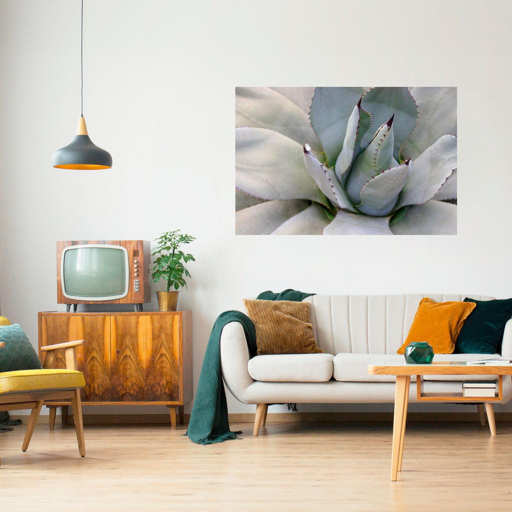 AGAVE ELEGANCE Οριζόντια αφίσα με κόλλα και κολλήματα