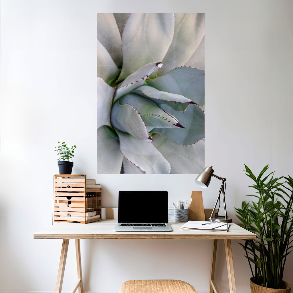 AGAVE ELEGANCE Αφίσα με κόλλα και κολλήματα