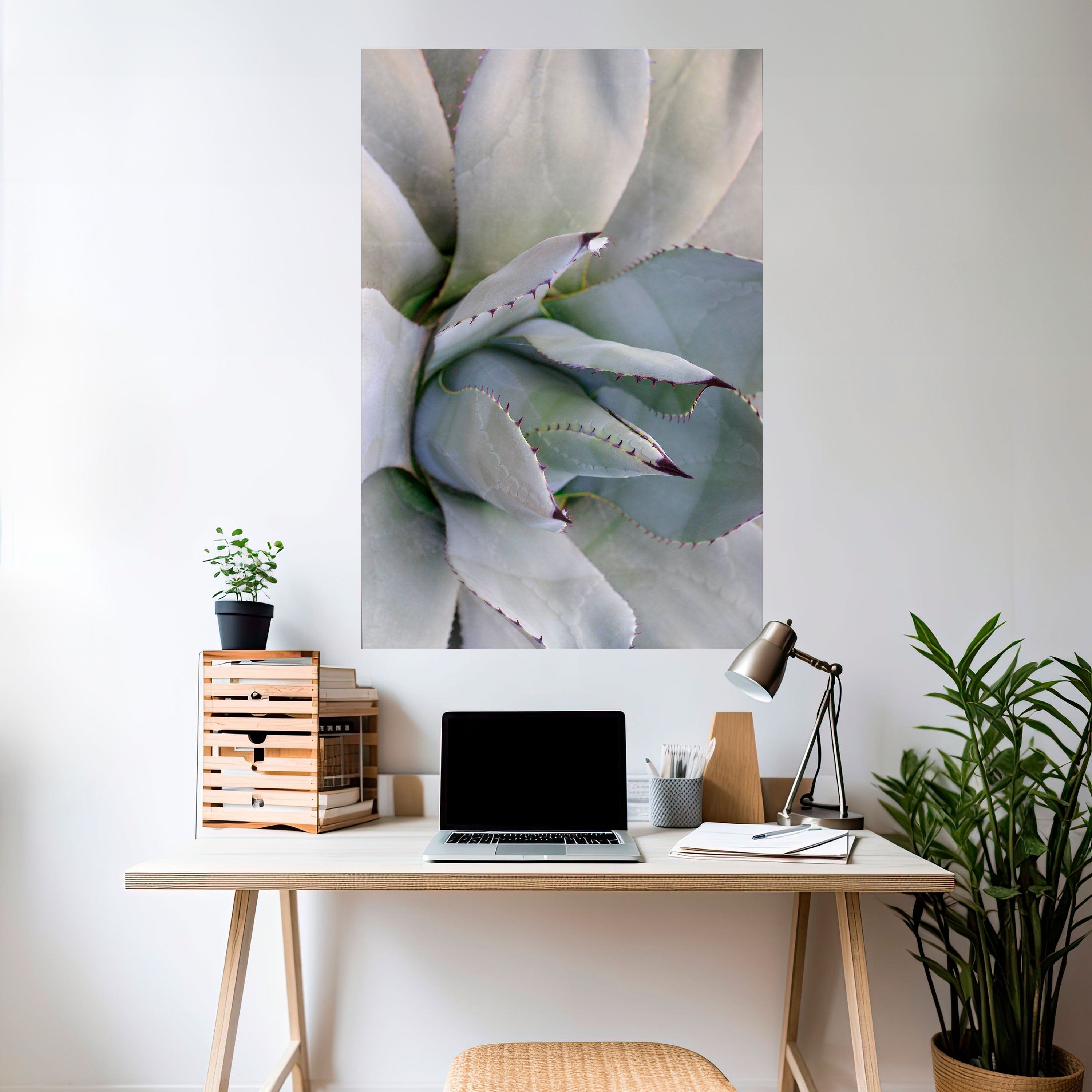AGAVE ELEGANCE Αφίσα με κόλλα και κολλήματα