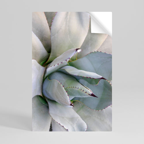 AGAVE ELEGANCE Αυτοκόλλητη Αφίσα κάθετη