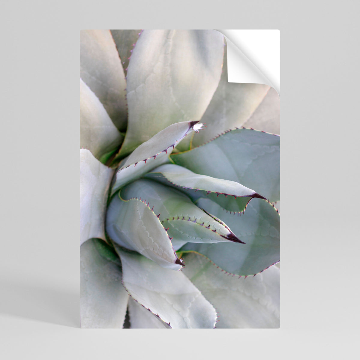 AGAVE ELEGANCE Αυτοκόλλητη Αφίσα κάθετη