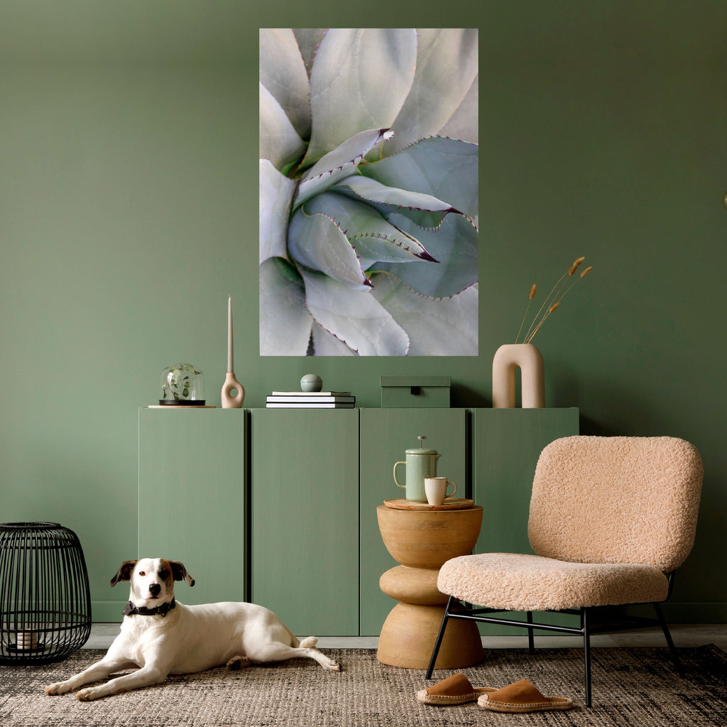 AGAVE ELEGANCE Αφίσα με κόλλα και κολλήματα