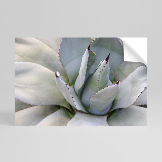 AGAVE ELEGANCE Αυτοκόλλητη Αφίσα οριζόντια