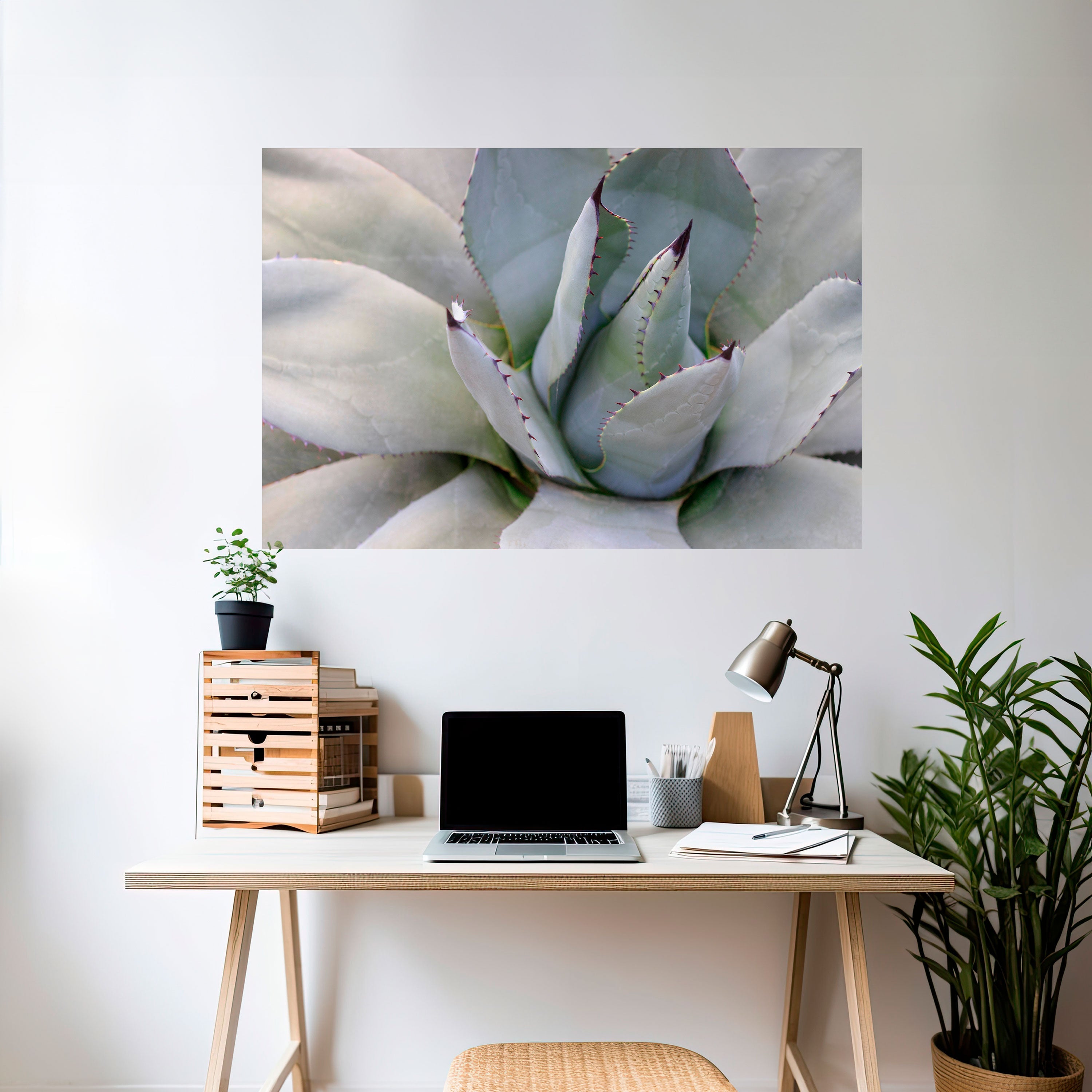 AGAVE ELEGANCE Οριζόντια αφίσα με κόλλα και κολλήματα