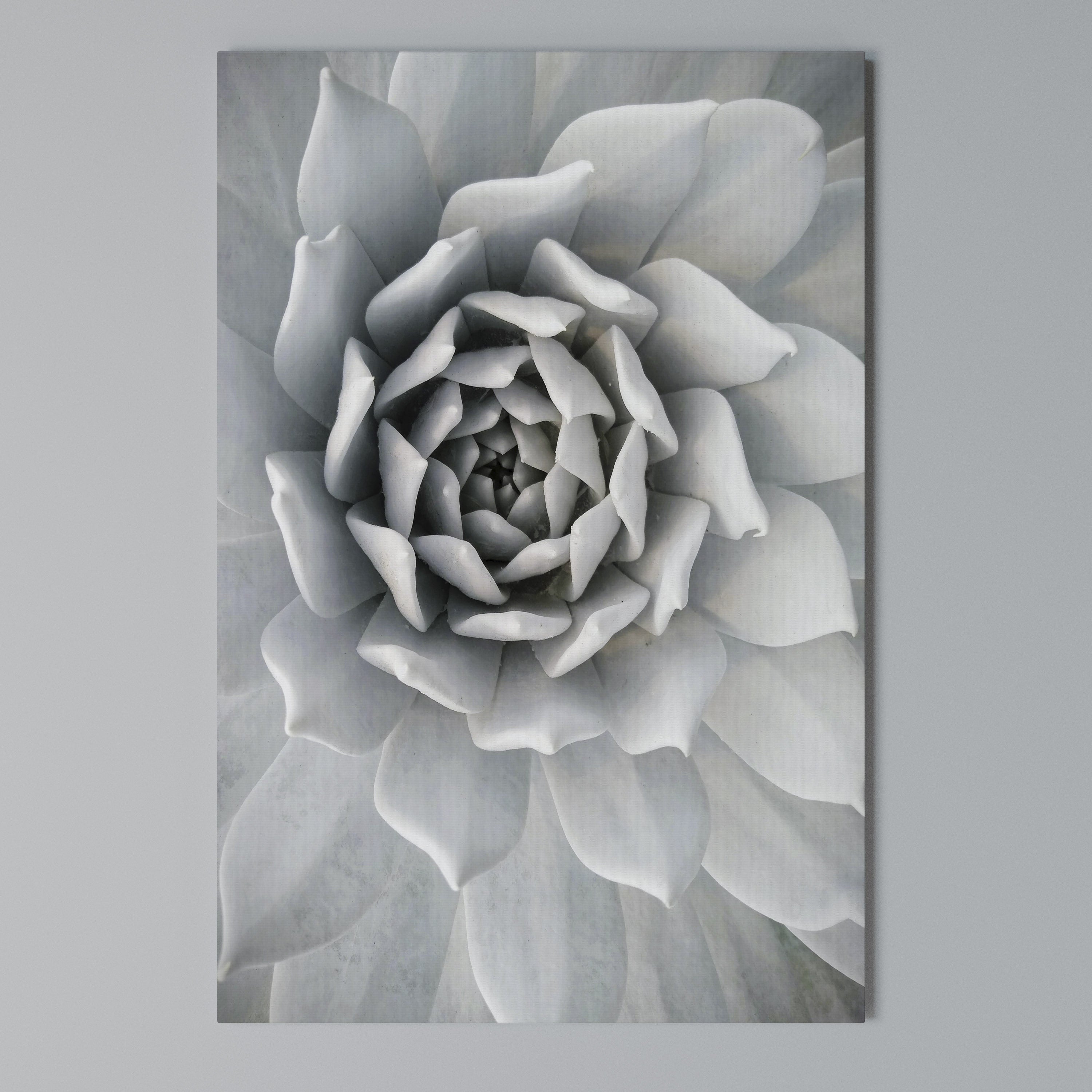 ELEGANT PETAL SWIRL Κατακόρυφος Πίνακας σε Καμβά