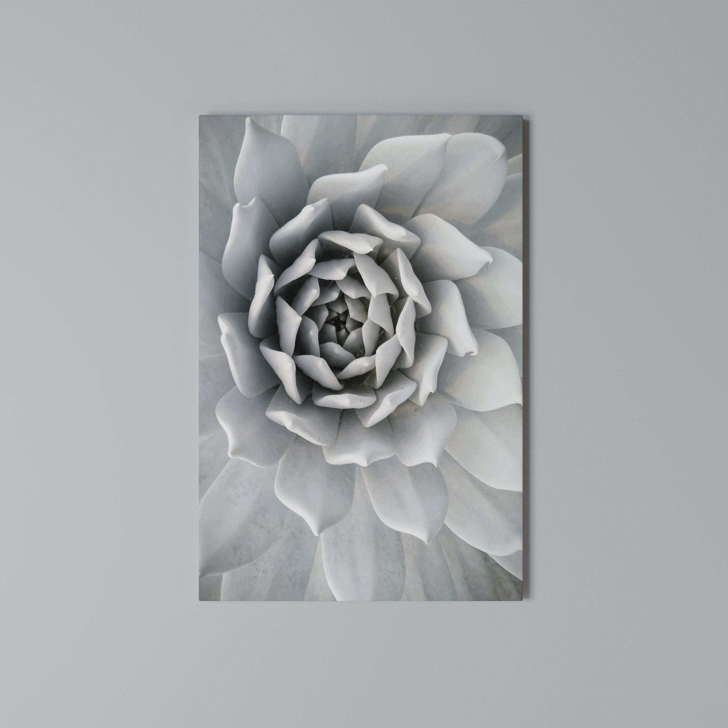 ELEGANT PETAL SWIRL Κατακόρυφος Πίνακας σε Καμβά