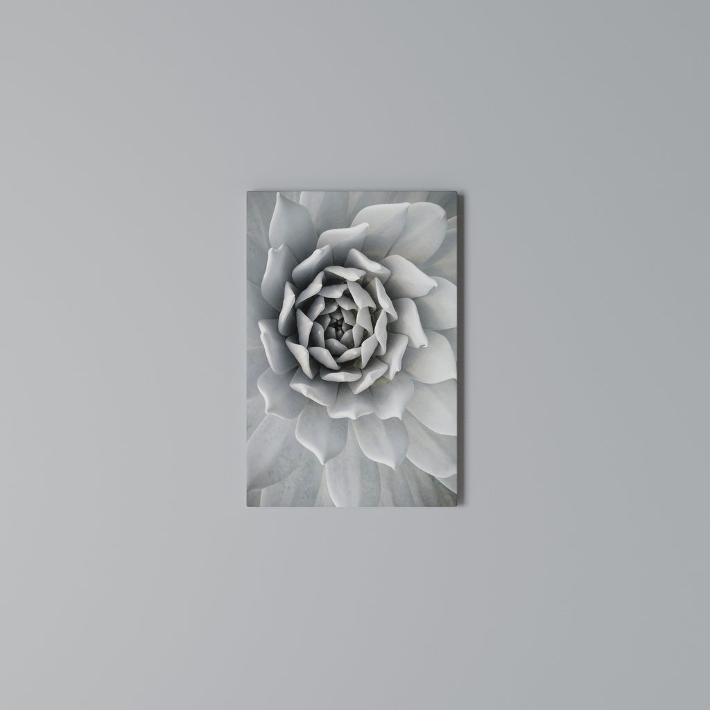 ELEGANT PETAL SWIRL Κατακόρυφος Πίνακας σε Καμβά