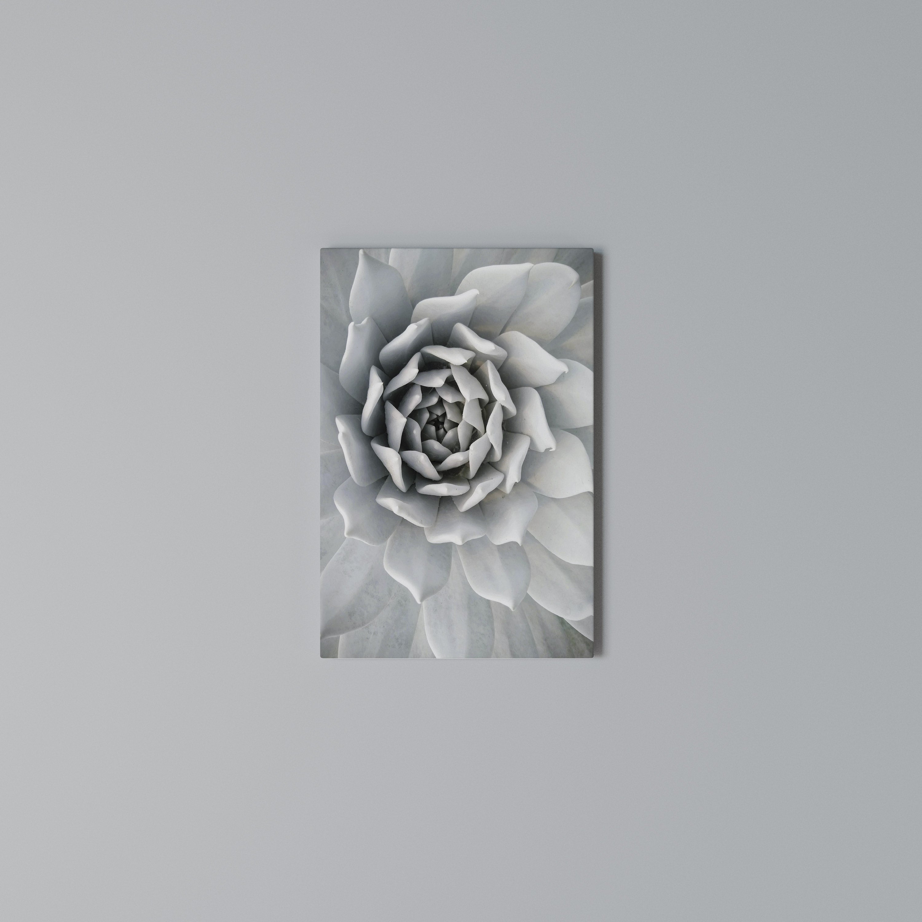 ELEGANT PETAL SWIRL Κατακόρυφος Πίνακας σε Καμβά