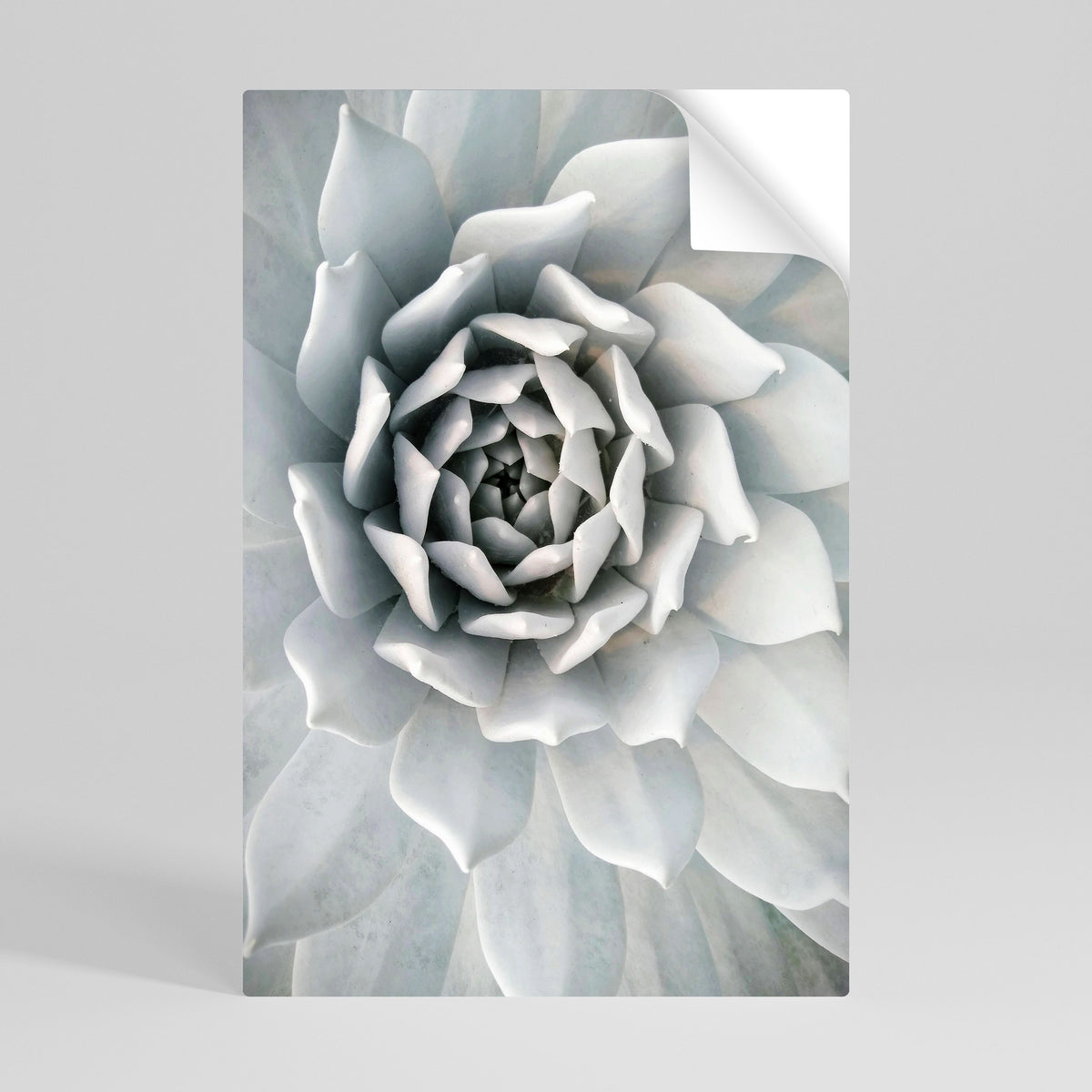 ELEGANT PETAL SWIRL Αυτοκόλλητη Αφίσα κάθετη
