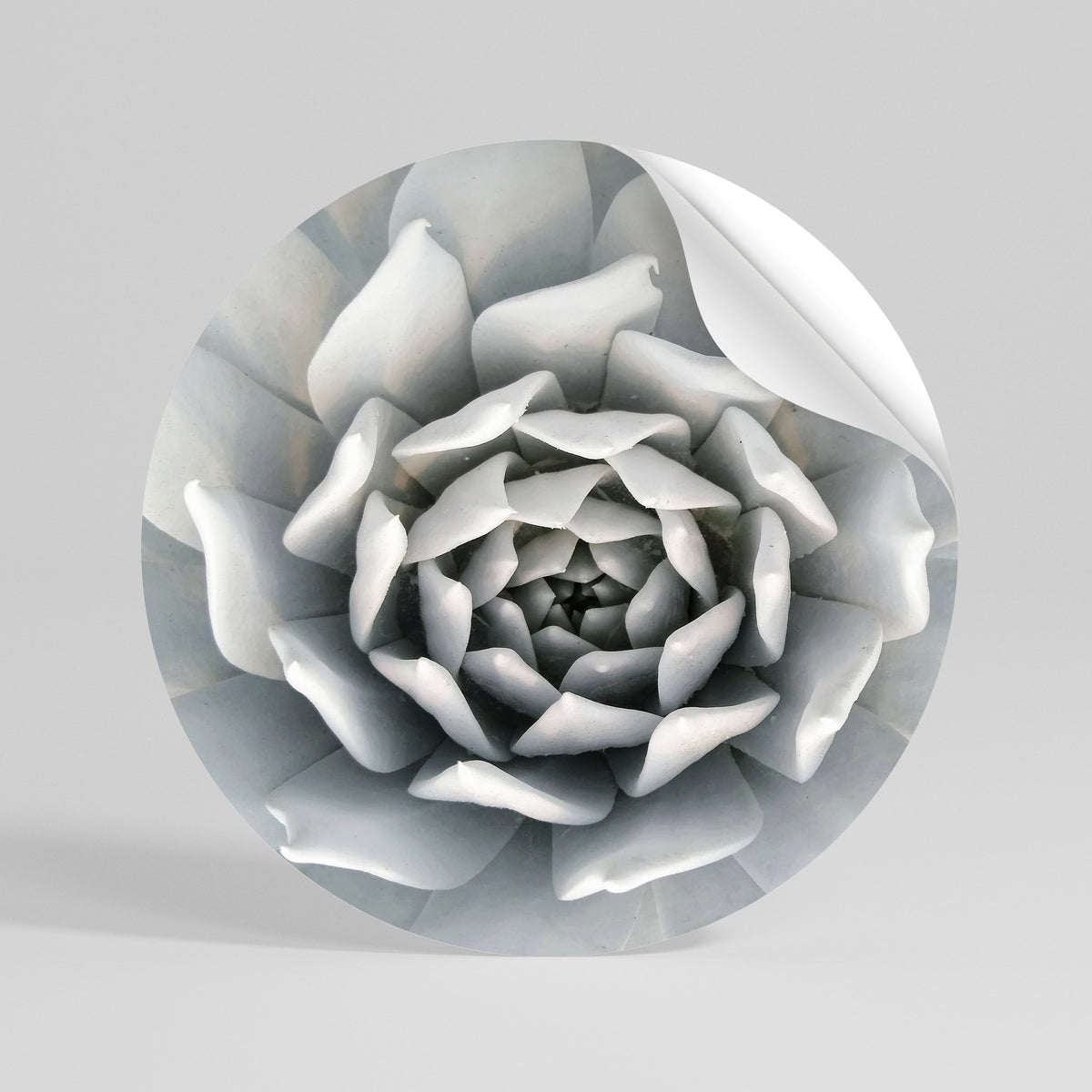 ELEGANT PETAL SWIRL Peel and Stick Round Sticker