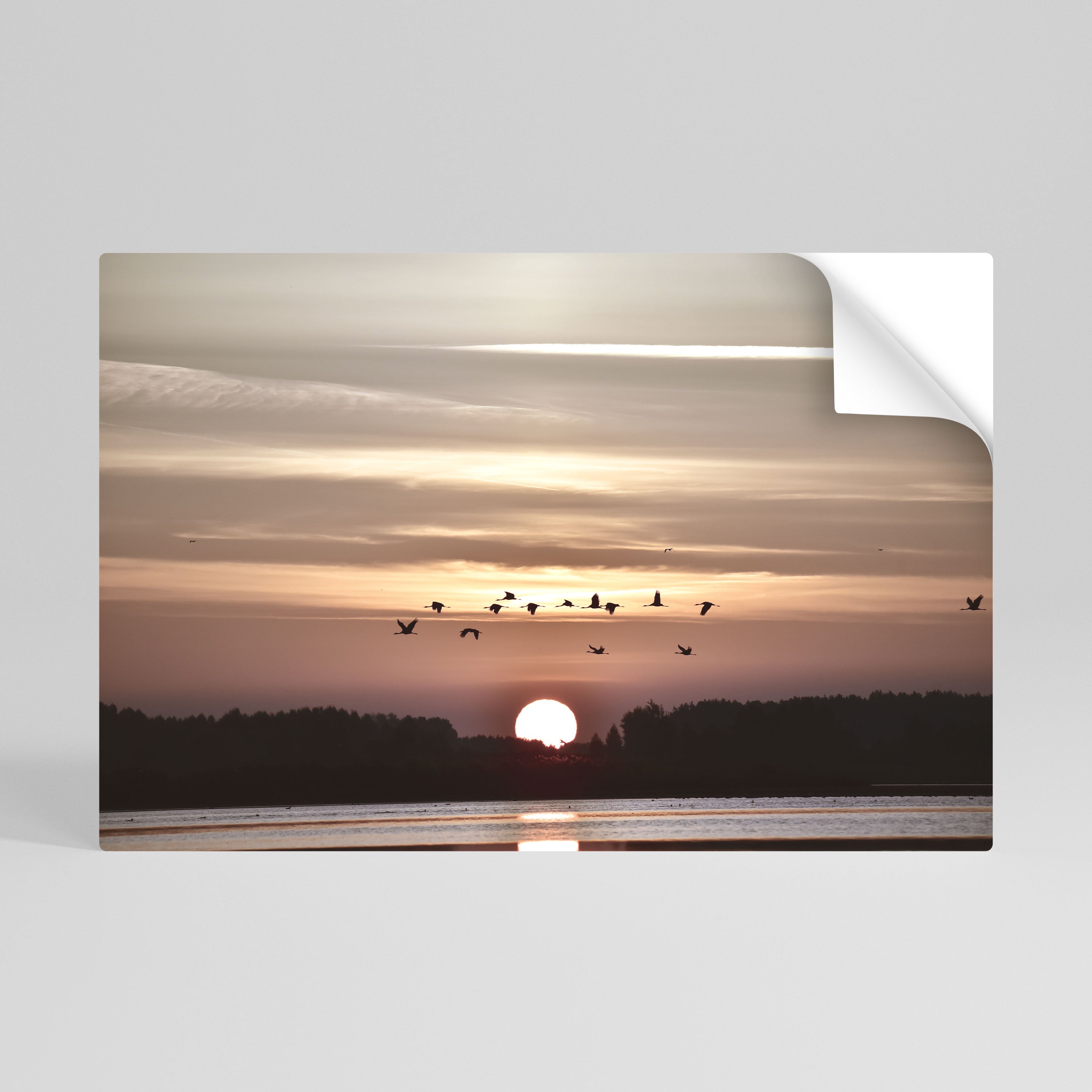 SUNSET FLIGHT SYMPHONY Αυτοκόλλητη Αφίσα οριζόντια