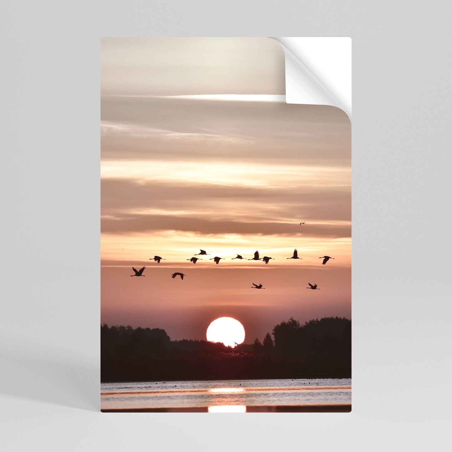 SUNSET FLIGHT SYMPHONY Αυτοκόλλητη Αφίσα κάθετη