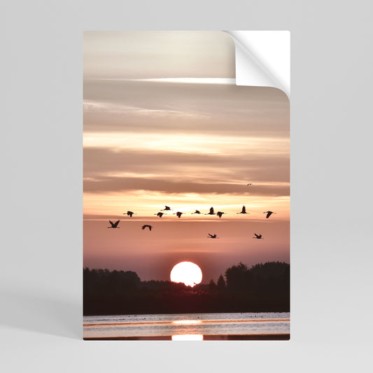 SUNSET FLIGHT SYMPHONY Αυτοκόλλητη Αφίσα κάθετη