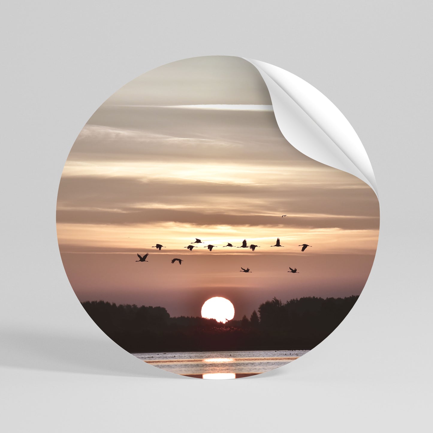 SUNSET FLIGHT SYMPHONY Αυτοκόλλητη Αφίσα στρογγυλή