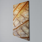 ELEGANT VEINING Κατακόρυφος Πίνακας σε Καμβά