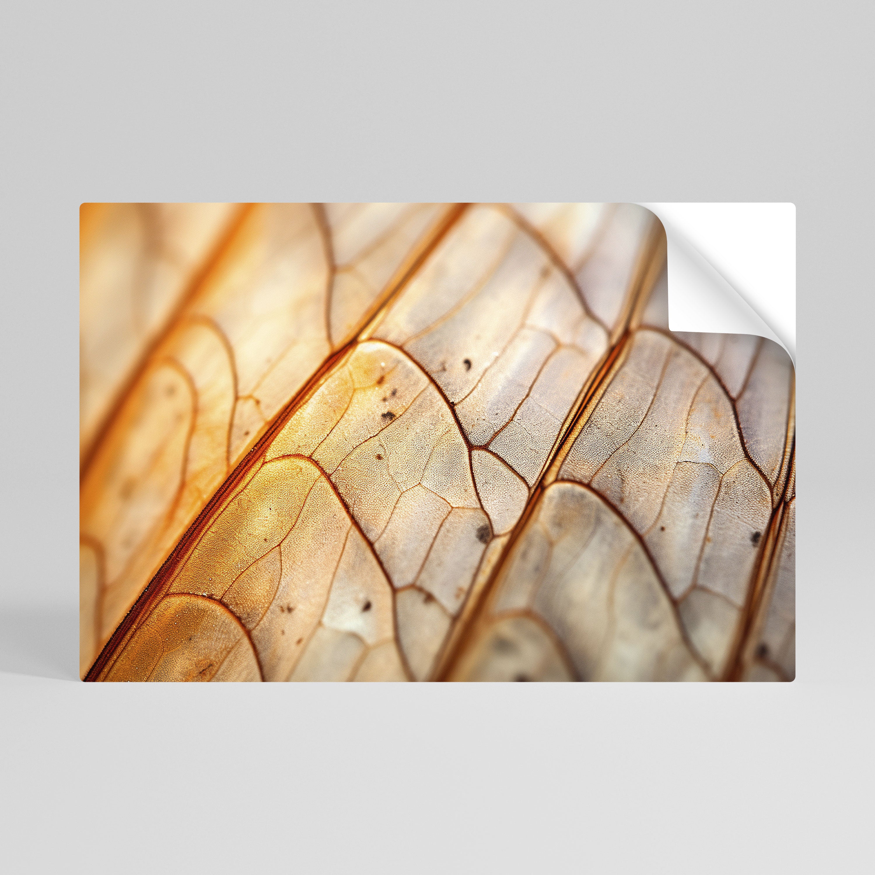 ELEGANT VEINING Αυτοκόλλητη Αφίσα οριζόντια
