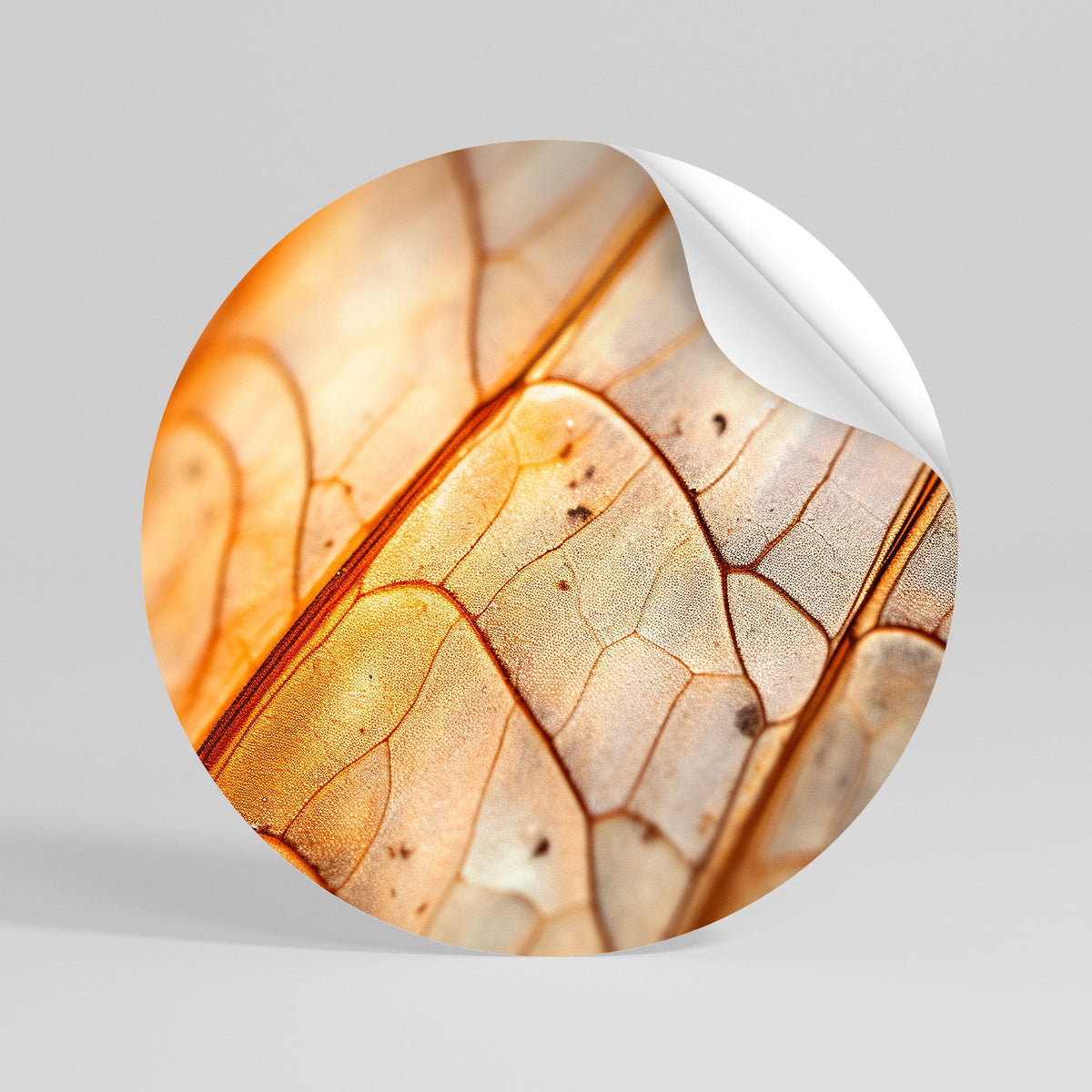 ELEGANT VEINING Αυτοκόλλητη Αφίσα στρογγυλή