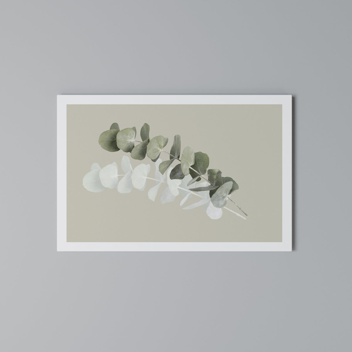 TRANSLUCENT NATURE Horizontal Canvas Print