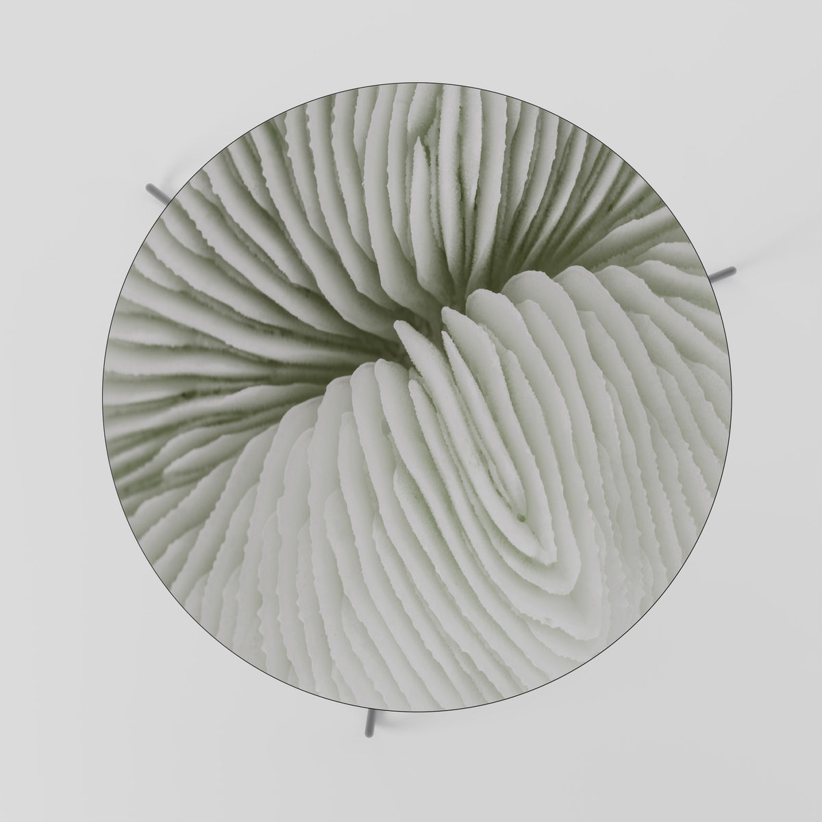 NATURE'S SYMMETRY Τραπεζάκι σαλονιού