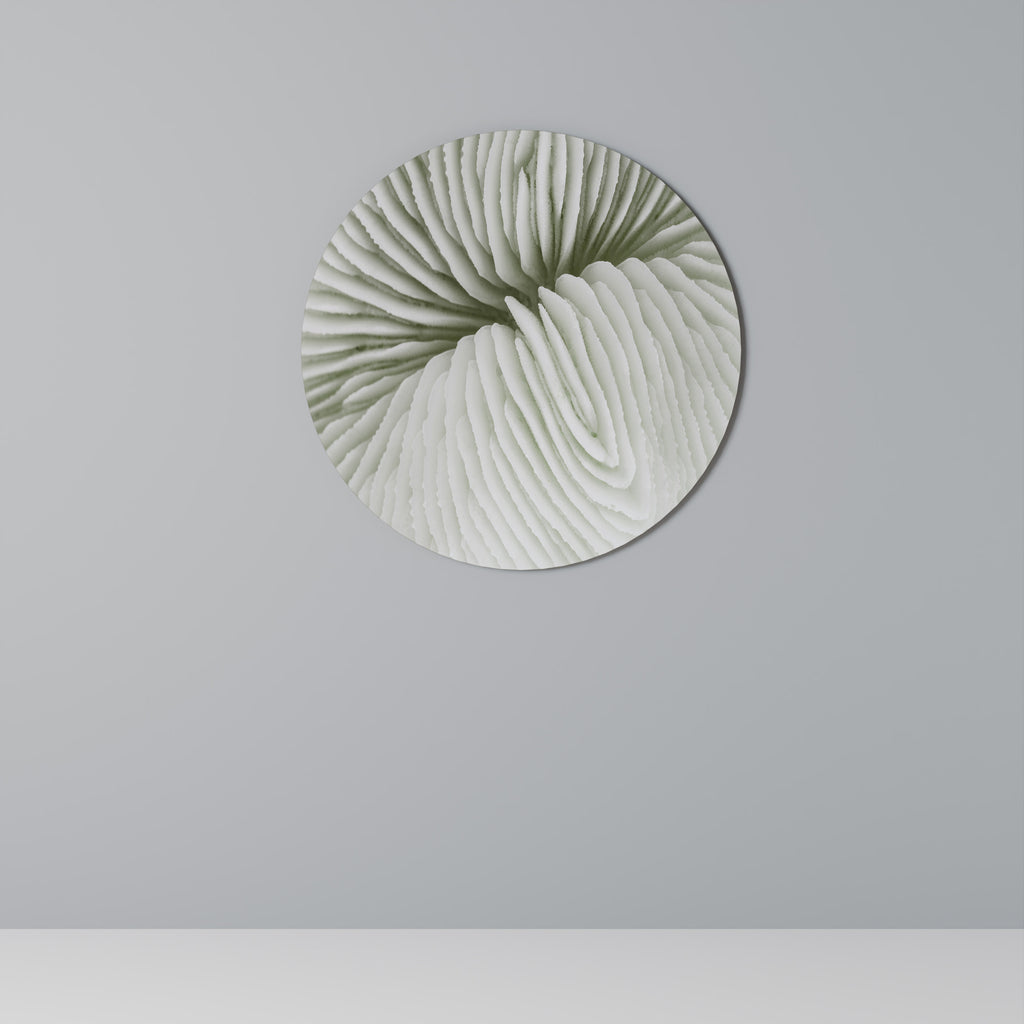 Στρογγυλή Τέχνη Τοίχου NATURE'S SYMMETRY