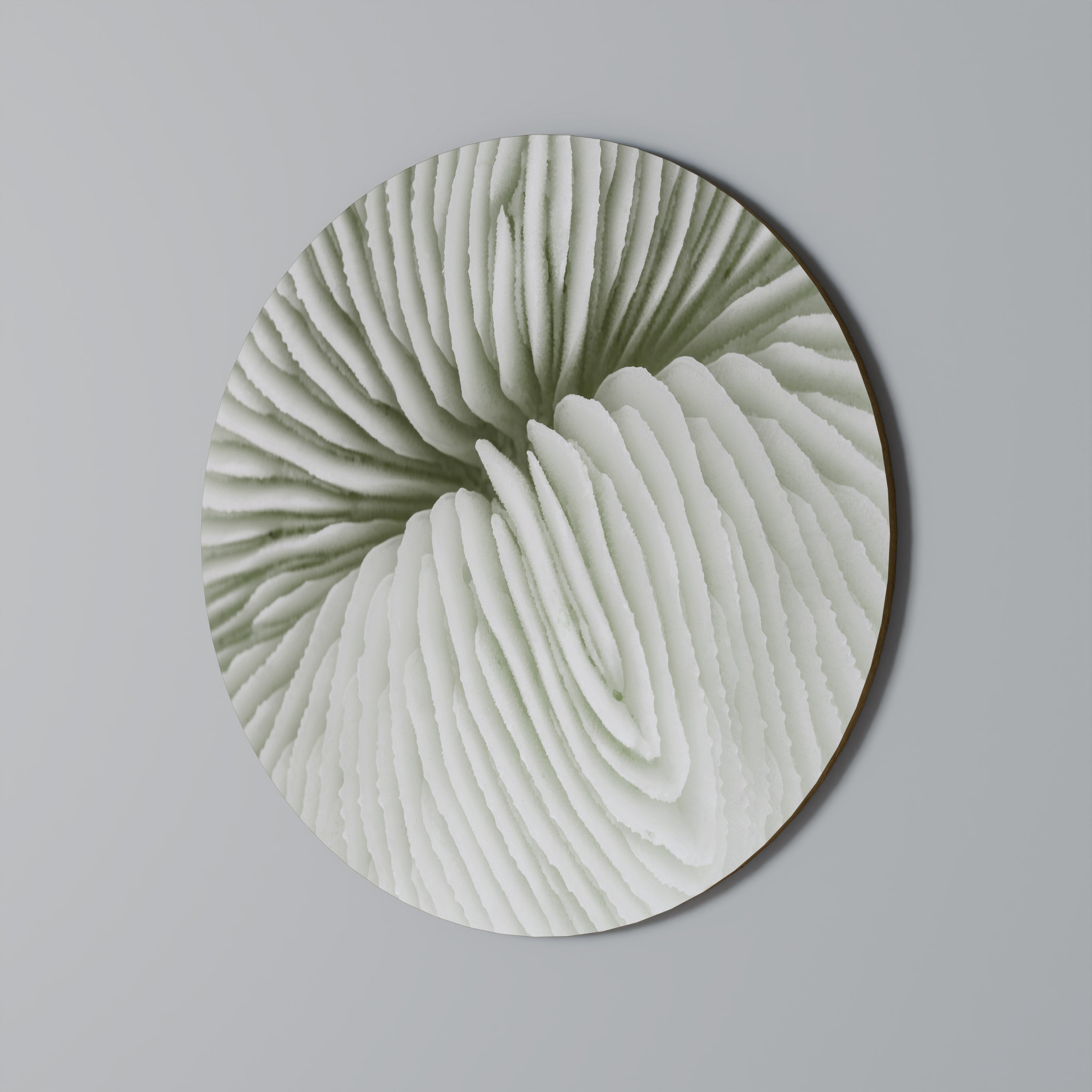 Στρογγυλή Τέχνη Τοίχου NATURE'S SYMMETRY