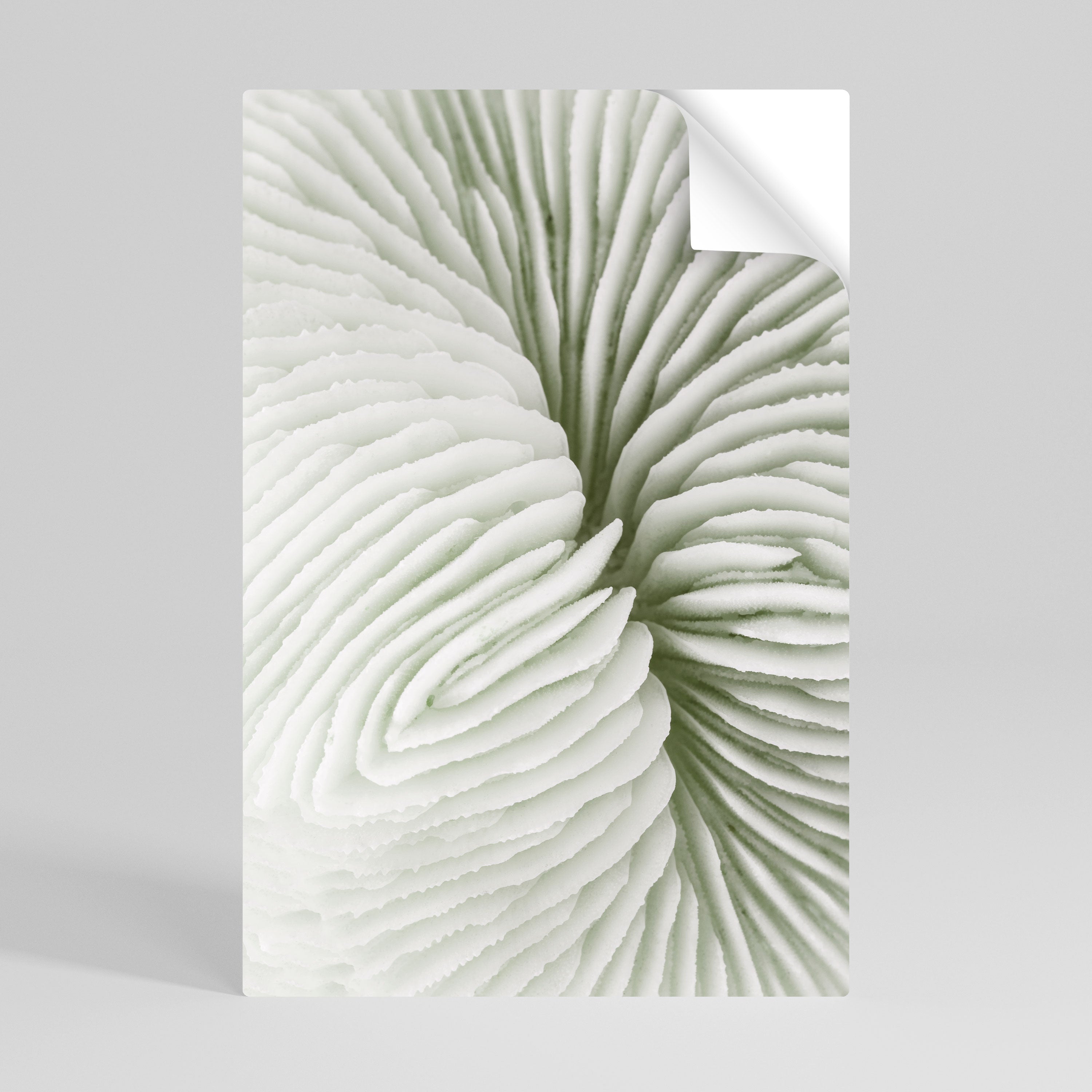 NATURE'S SYMMETRY Αυτοκόλλητη "Peel and Stick" Αφίσα κάθετη