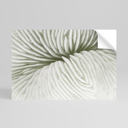 NATURE'S SYMMETRY Αυτοκόλλητη Αφίσα οριζόντια