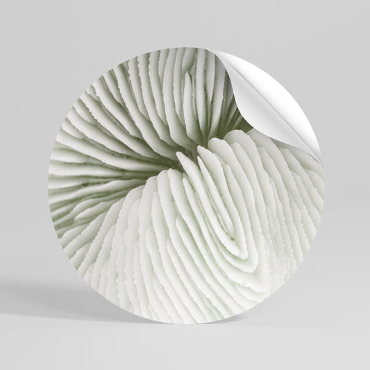 NATURE'S SYMMETRY Peel and Stick Round Sticker
